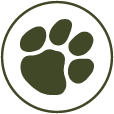 Icon_Amenities-pets-2 Icon_Amenities-pets-2